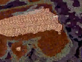 Dick videotape japanese grandpa gay porn