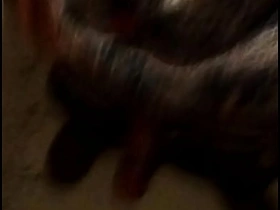 JAPANESE WOMAN porn gay twitter chinese